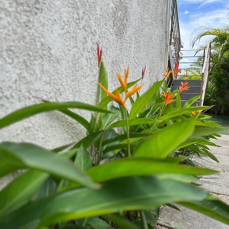 Seasons Break Apartment Pereybere Pereybere Beach Exterior foto