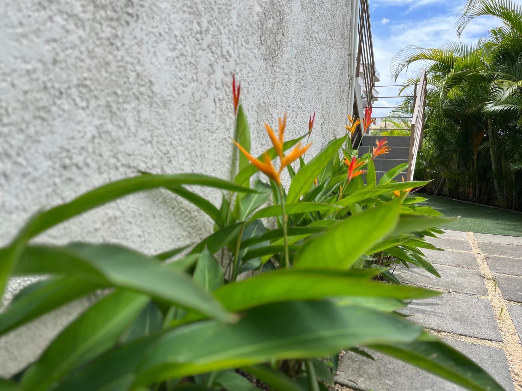 Seasons Break Apartment Pereybere Pereybere Beach Exterior foto